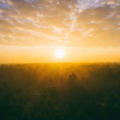 疯狂特技车万圣节无敌版